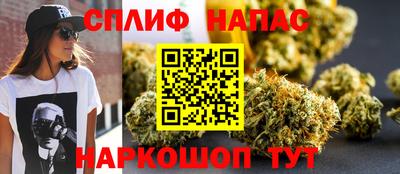 прущие грибы Ирбит