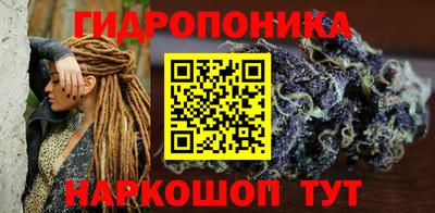 прущие грибы Ирбит