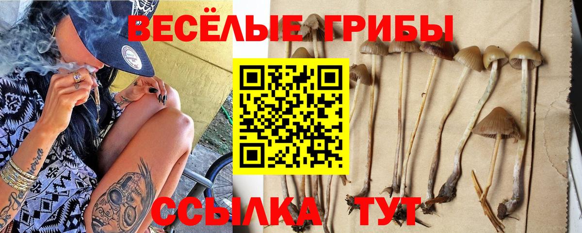 Кунгур  Псилоцибиновые грибы Psilocybine cubensis  Вход с VPN 