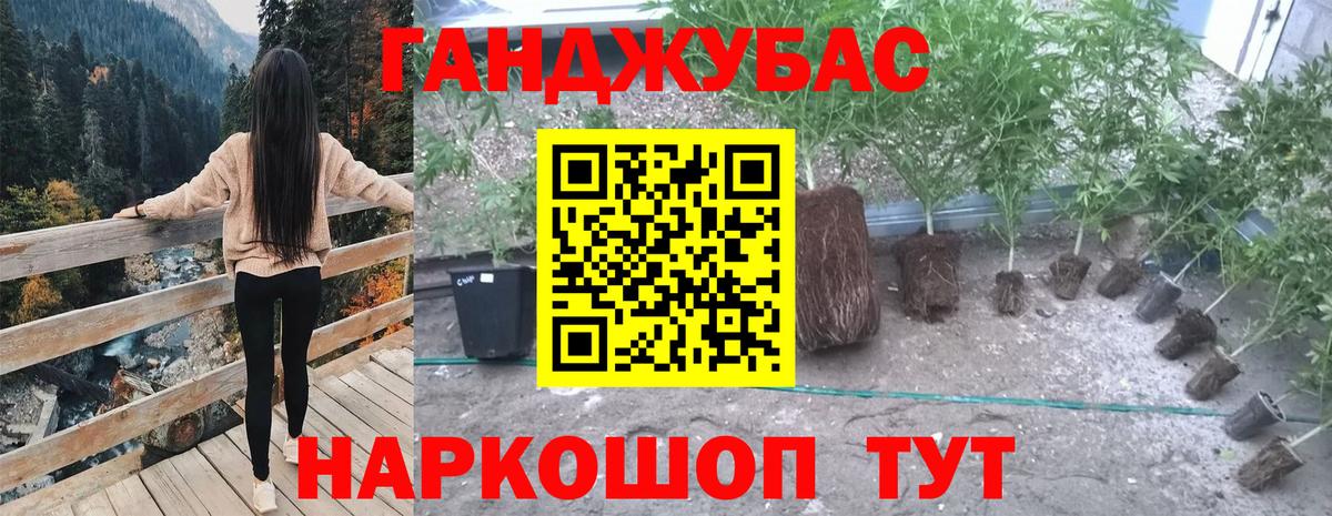Бошки марихуана тримм  Вход с VPN  МАРИХУАНА THC 21%  Бошки марихуана сатива  Кунгур  Марихуана THC 21% 